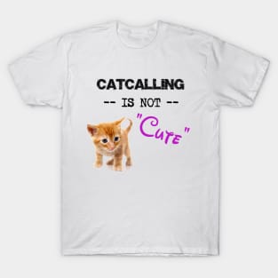 Stop Catcalling T-Shirt